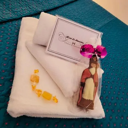 Ξενοδοχείο Le Stanislas Νανσύ