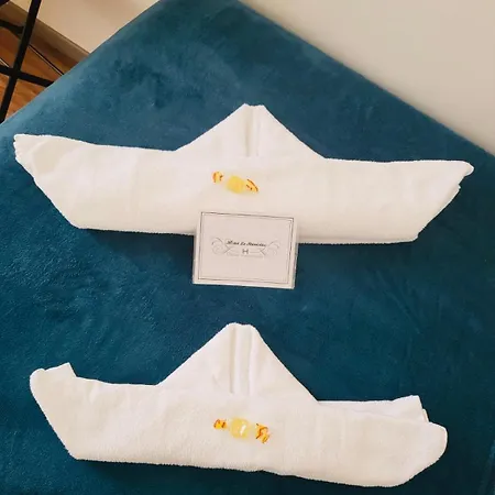 Le Stanislas 2* Νανσύ