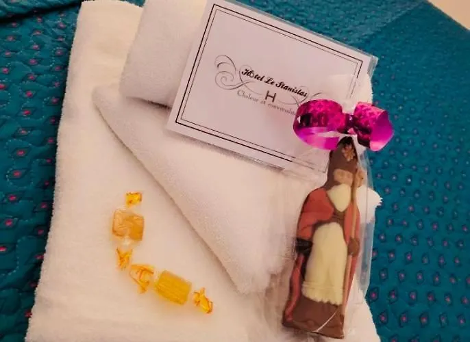 酒店 Le Stanislas 南锡