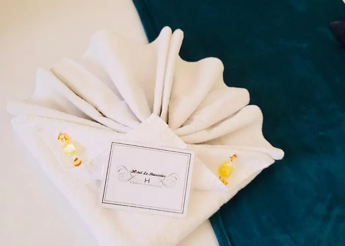 酒店 Le Stanislas 南锡