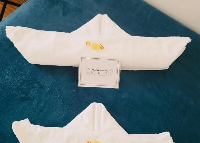 Le Stanislas 2* 南锡