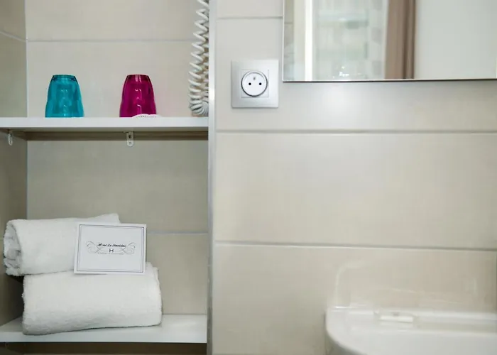 酒店 Le Stanislas 南锡